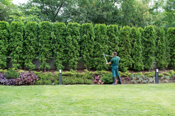 Best Lawn Irrigation Installation and Maintenance  in , KY